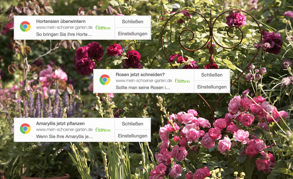 Push-Nachrichten von MEIN SCHÖNER GARTEN