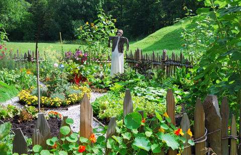Bunter Gemüsegarten Bunter Gemüsegarten