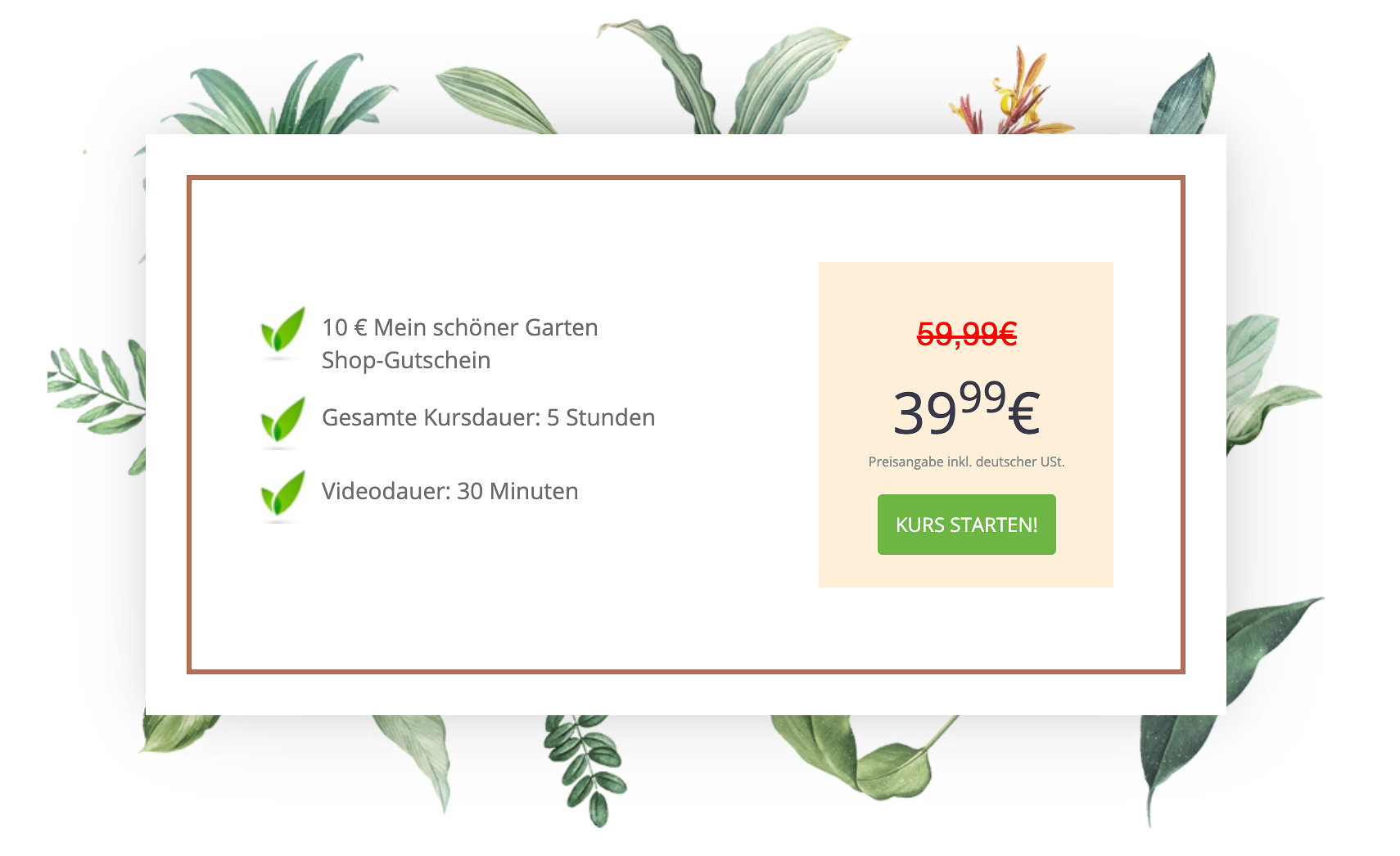 Mein schöner Garten Zimmerpflanzen Onlinekurs