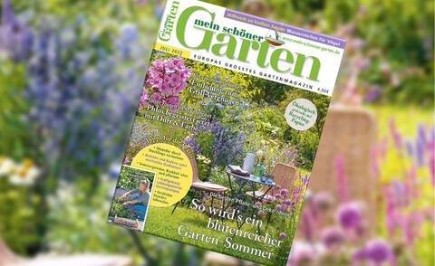 Juli-Ausgabe 2022 von MEIN SCHÖNER GARTEN Juli-Ausgabe 2022 von MEIN SCHÖNER GARTEN